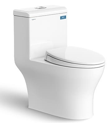  Bồn cầu Viglacera V45