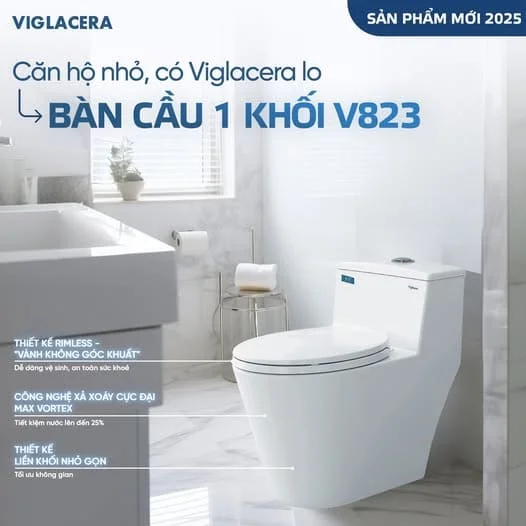 Bồn cầu 1 khối Viglacera V823 thiết kế hiện đại tinh tế