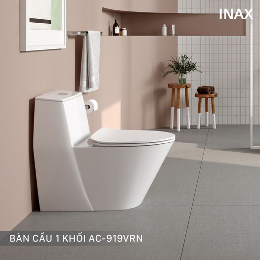 Bồn càu AC-919