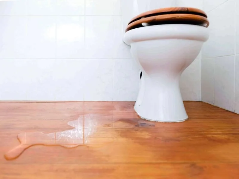 Bồn cầu rò rỉ nước