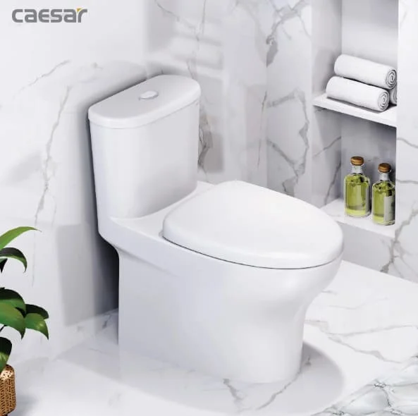 Bồn cầu Caesar 