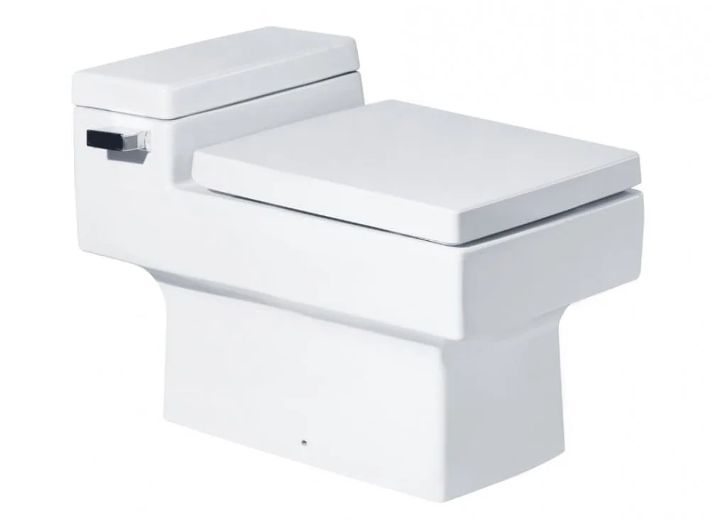 Bàn Cầu 1 Khối COTTO C10317 
