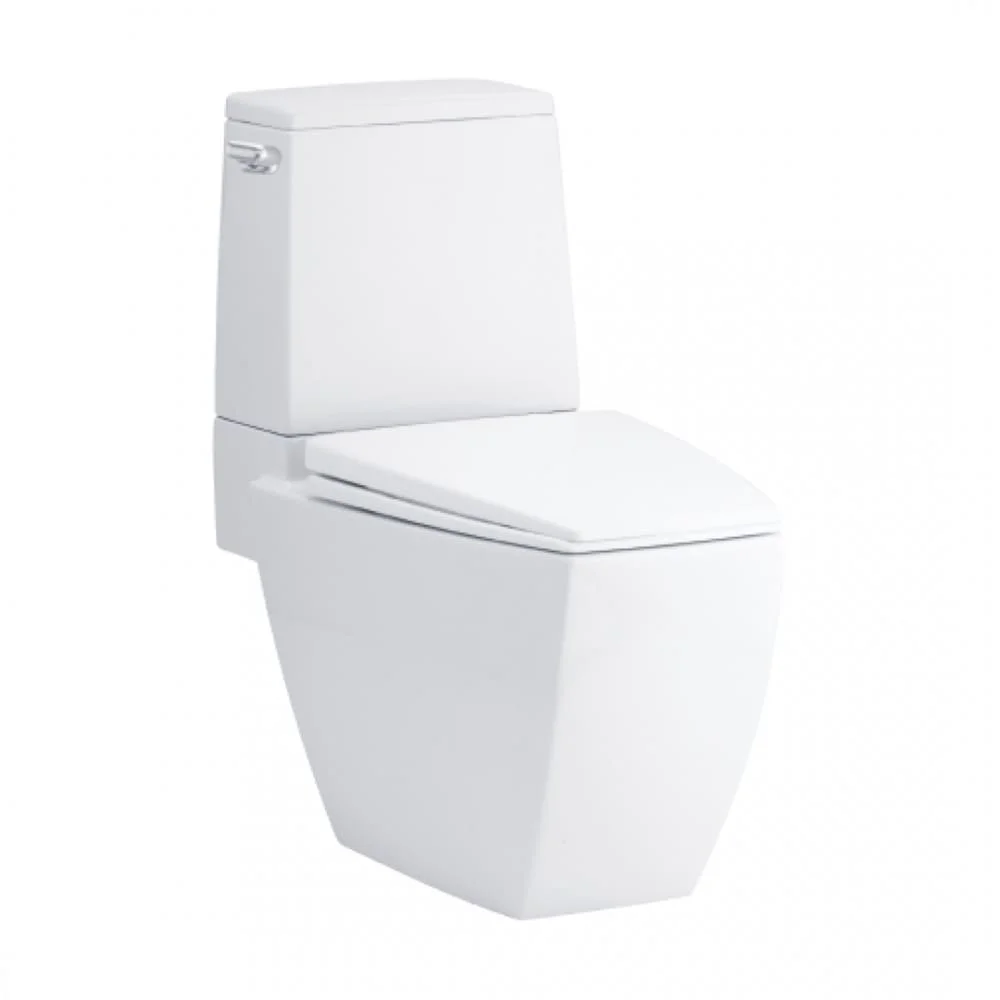 Bàn Cầu 2 Khối COTTO C13507 Hercules