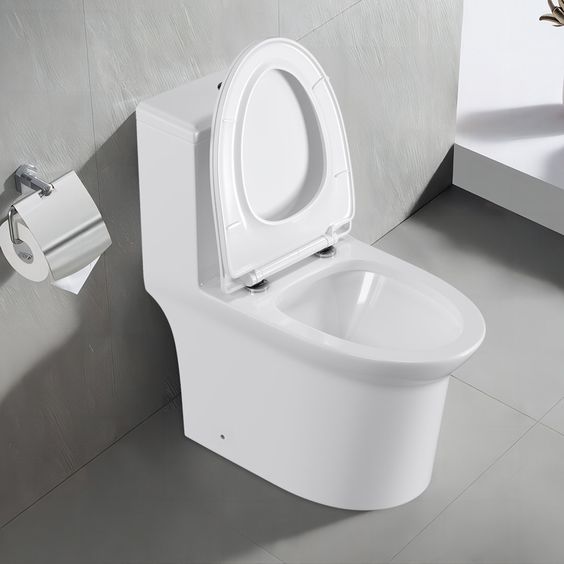 Bồn cầu chấ liệu sứ