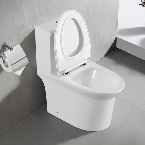 Bồn cầu chấ liệu sứ