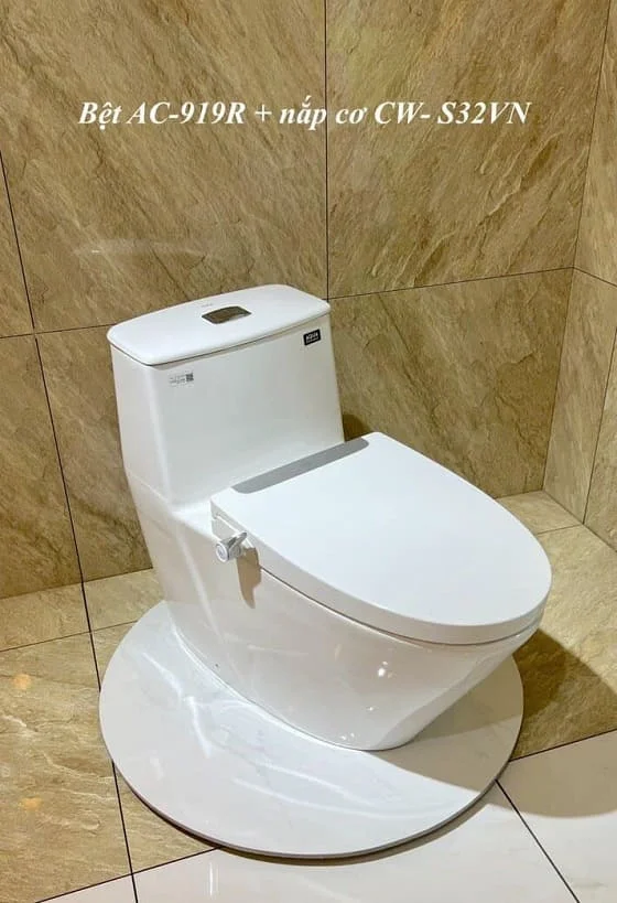Nên chọn loại bồn cầu nào cho gia đình bạn