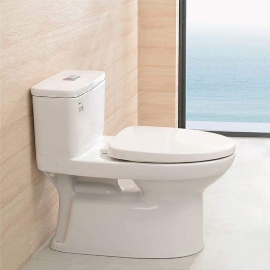 Bồn cầu inax AC-969 bán chạy