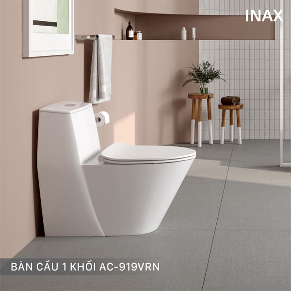 Bồn cầu vệ sinh Inax AC-919