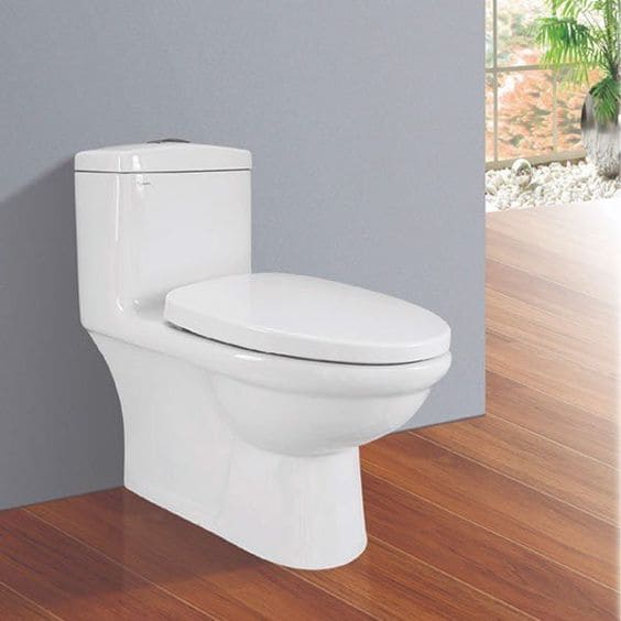 Bồn cầu Viglacera BL5V