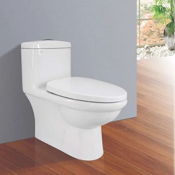 Bồn cầu Viglacera BL5V