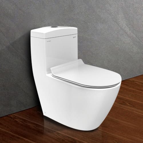 Bồn cầu 1 khối nắp êm Viglacera BL5V