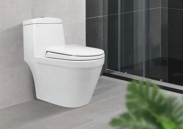 Bồn cầu Viglacera V35