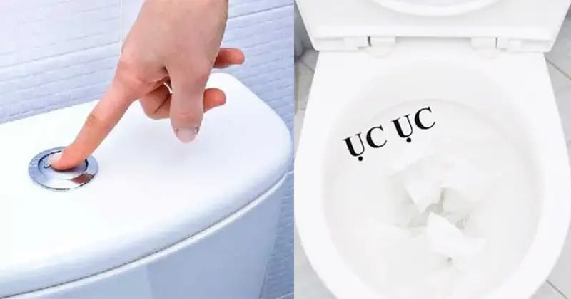 Bồn cầu xả nước kêu to