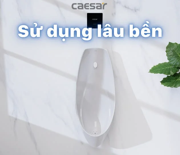 Bồn tiểu nam Caesar U0266