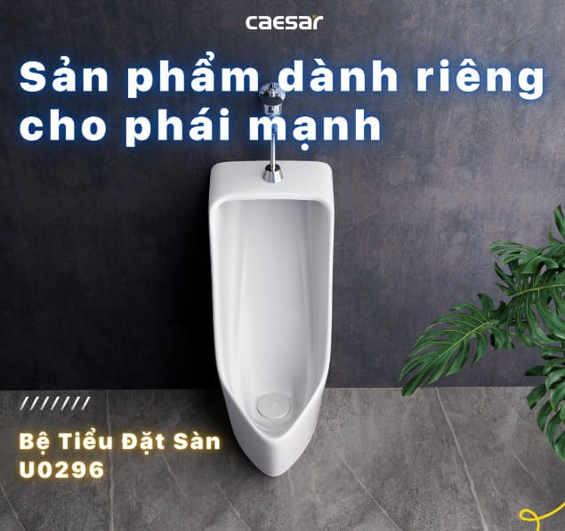 Bồn tiểu đứng Caesar U0296