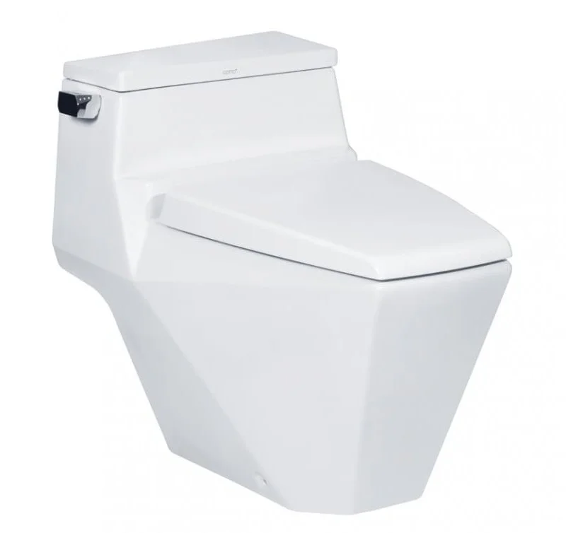 Bàn Cầu 1 Khối COTTO C10077