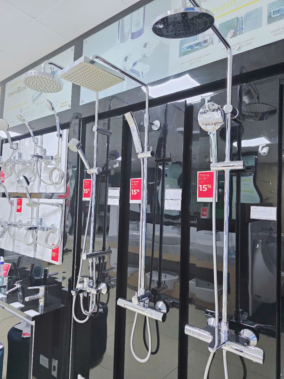 Các Loại Sen Tắm Cây Phổ Biến Hiện Nay