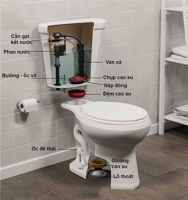 Cậu tạo bồn cầu 2 khối