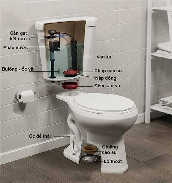 Cậu tạo bồn cầu 2 khối