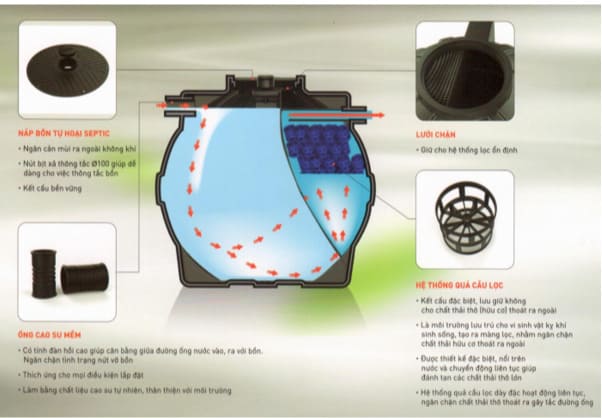 cau-tao-bon-tu-hoai-tan-a-dai-thanh