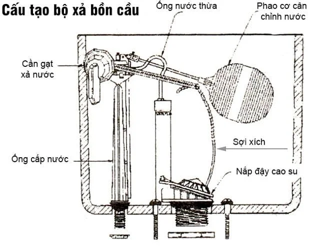cau-tao-ket-nuoc-bon-cau.