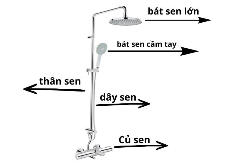 Cấu Tạo Về Sen Tắm Cây Gồm Những Bộ Phận Nào?