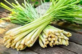Cây sả khử mùi hôi trong nhà vế sinh