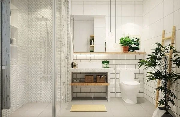 Trồng cây trong nhà vệ sinh giúp thanh lọc không khí