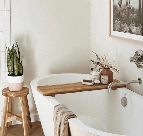 Đặt cây xanh trong nhà vệ sinh 