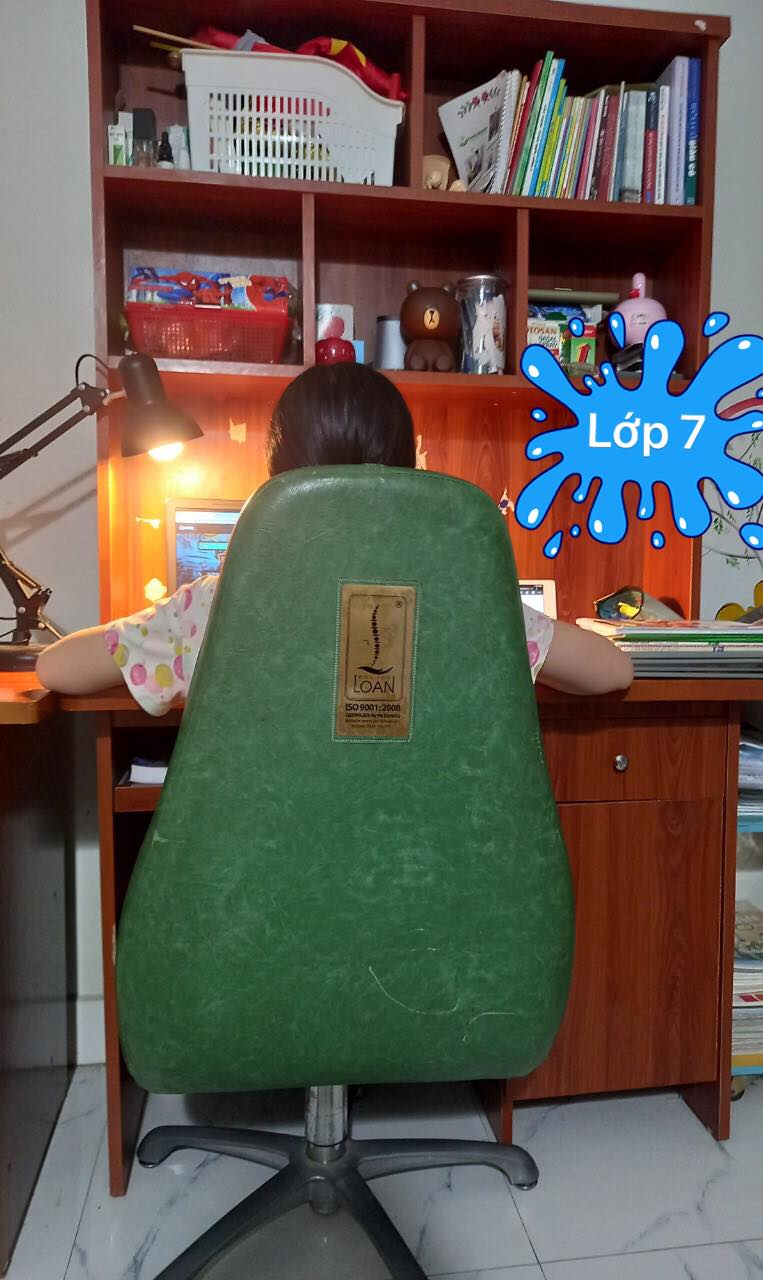  Ghế tùy chỉnh theo từng độ tuổi – Từ học sinh cấp 2 đến sinh viên đại học