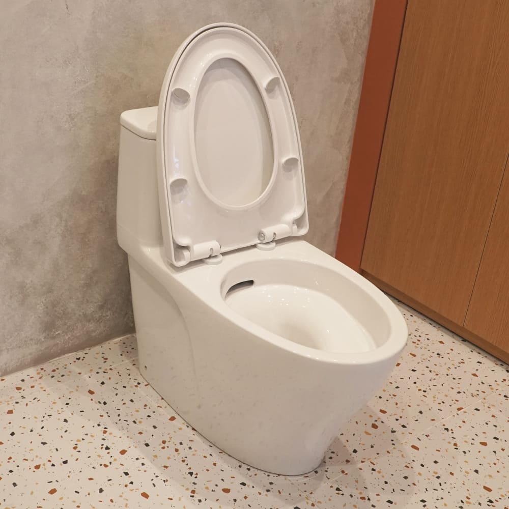 Hình ảnh thực tế bồn cầu Inax tại nhà khách hàng 