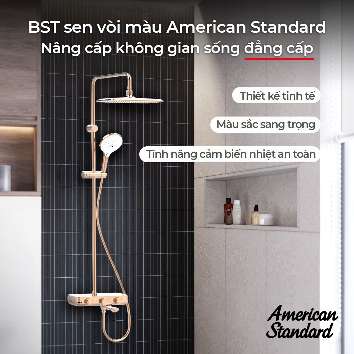 Lợi ích dài hạn khi đầu tư sen cây American standard
