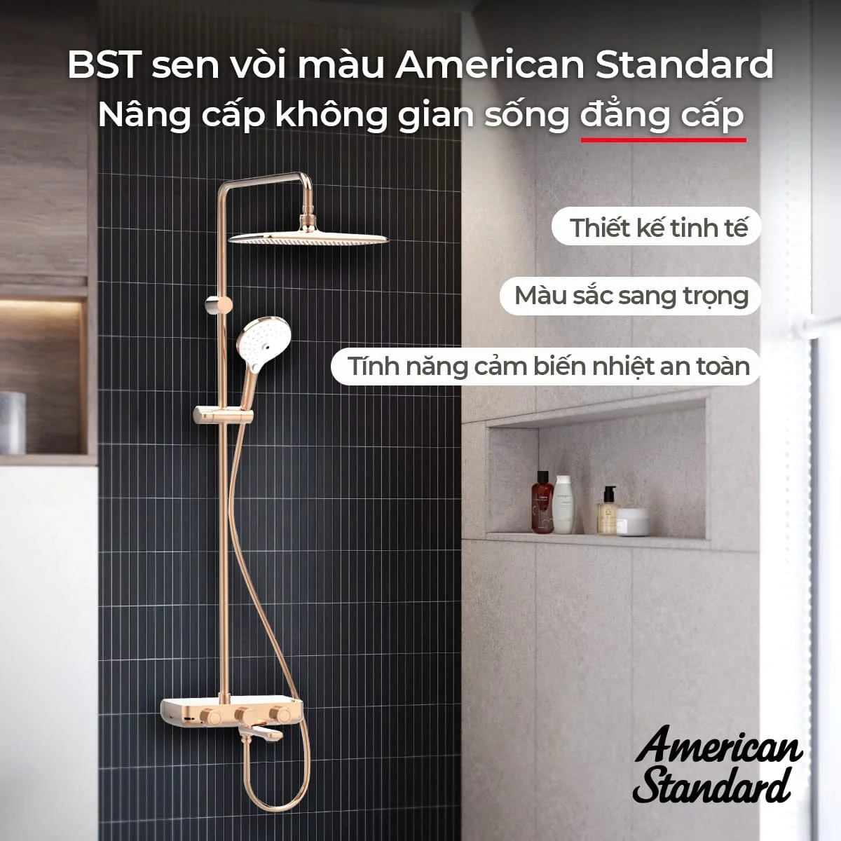 Lợi ích dài hạn khi đầu tư sen cây American standard