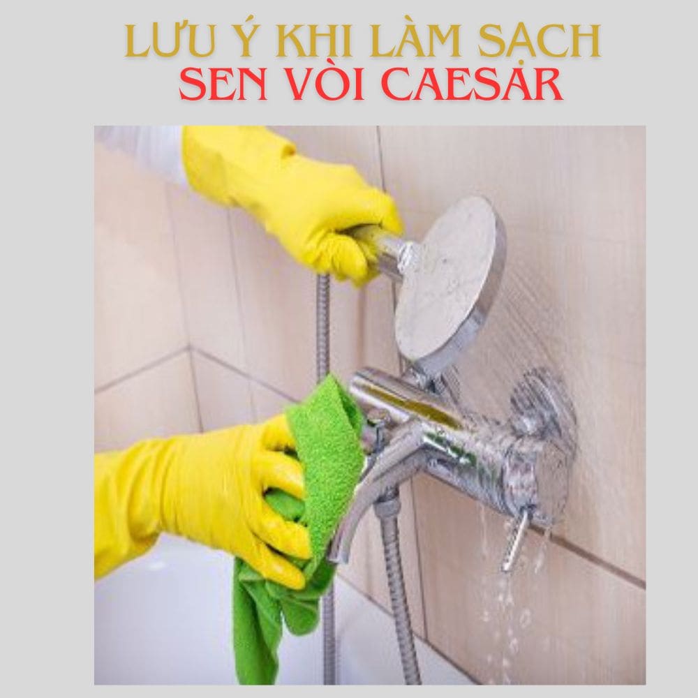 Lưu ý khi làm sạch sen vòi caesar