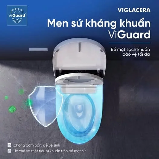 Men sứ ViGuard là gì?