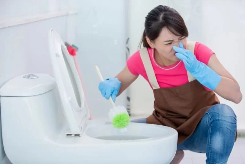 Mùi hôi bồn cầu kéo dài 