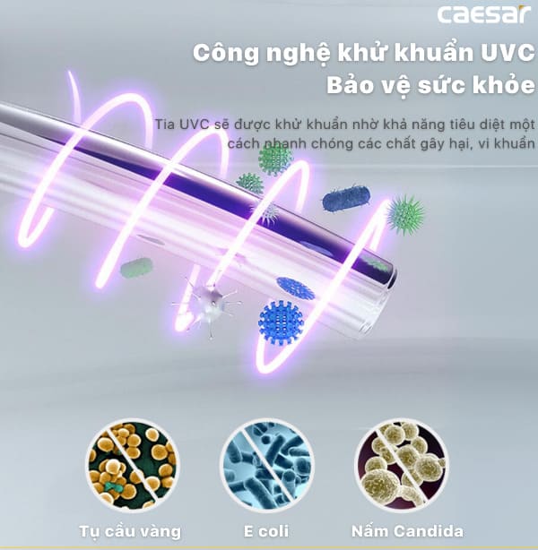 Nắp bồn cầu điện tử đảm bảo vệ sinh tối ưu