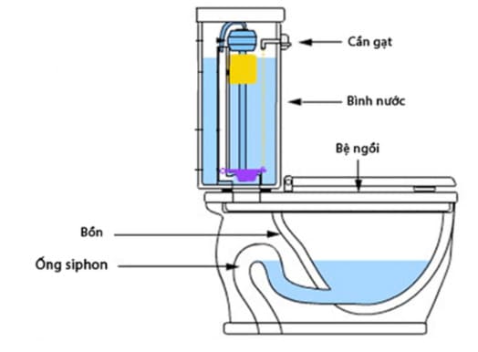 Nguyên lý hoạt động của bồn cầu 2 khối 
