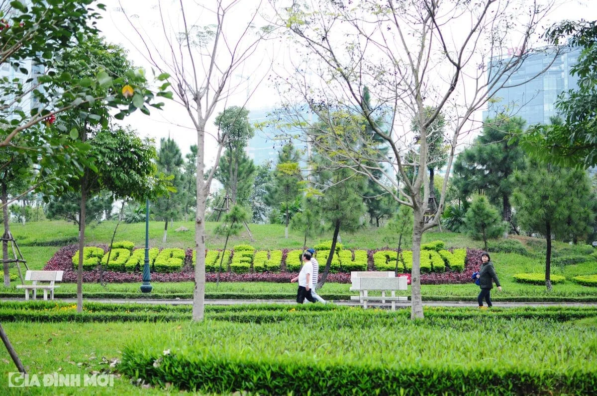 Quận Cầu Giấy, Hà Nội