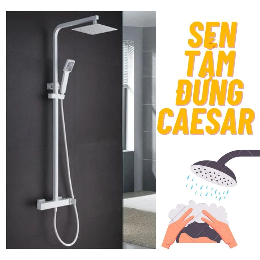sen tắm đứng caesar