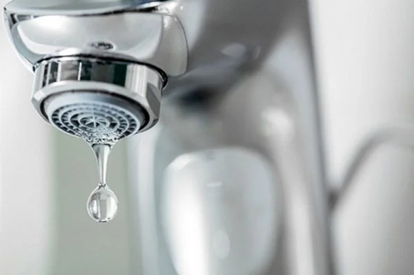  Sen vòi bị rò rỉ nước liên tục