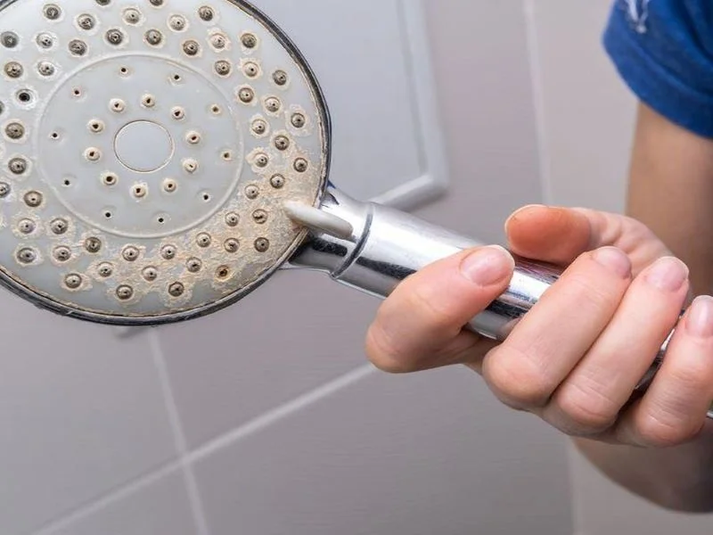 Sen vòi xuất hiện mùi hôi hoặc cặn bẩn từ sen