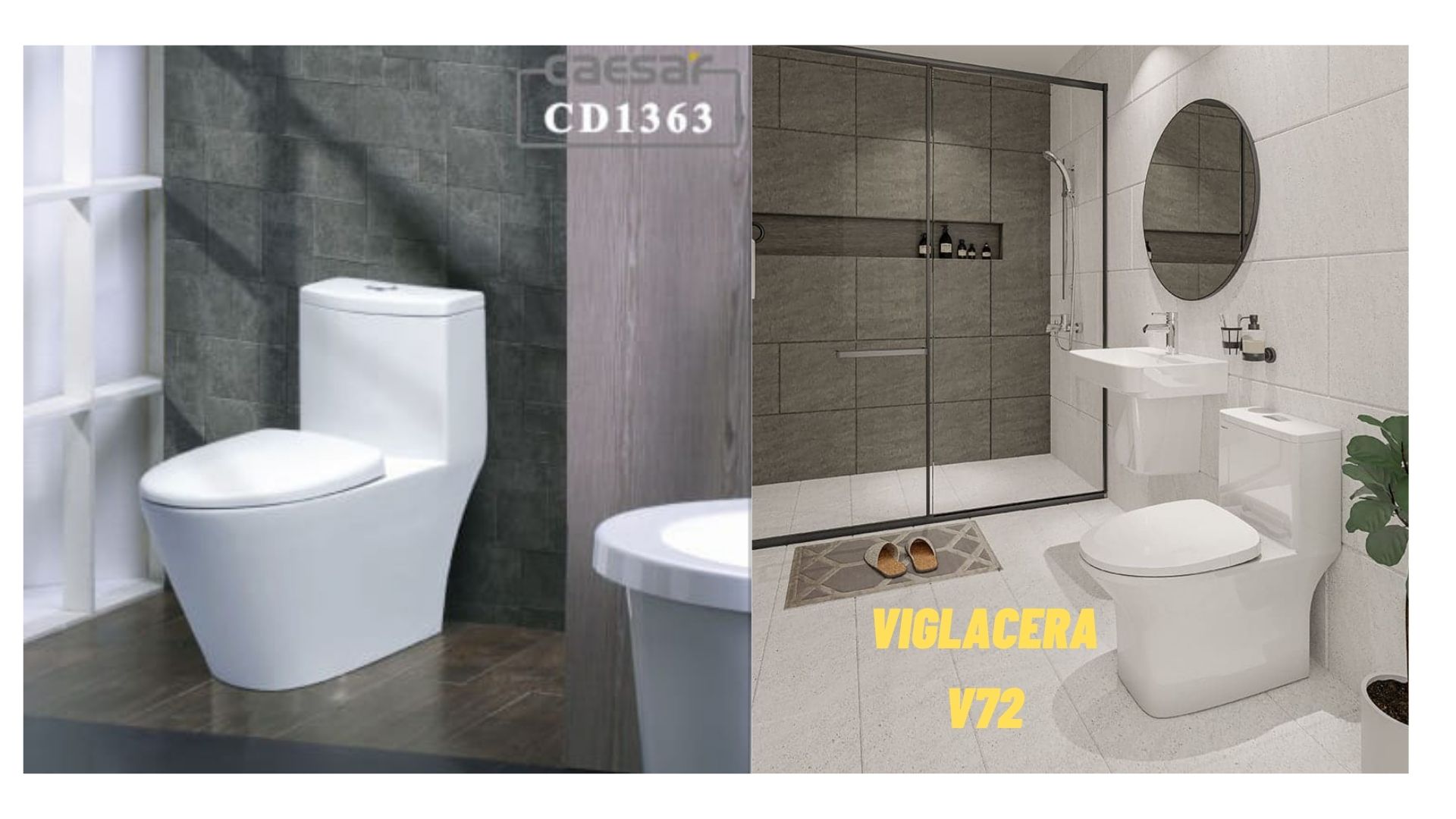 so-sanh-thiet-bi-ve-sinh-caesar-va-viglacera