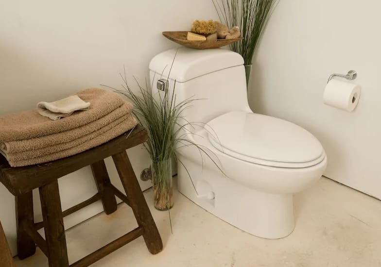 Sử dụng tinh dầu thiên nhiên khử mùi toilet