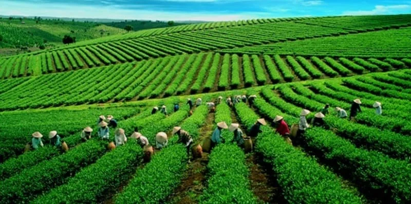 Đại lý thiết bị vệ sinh Jomoo tại Thái Nguyên