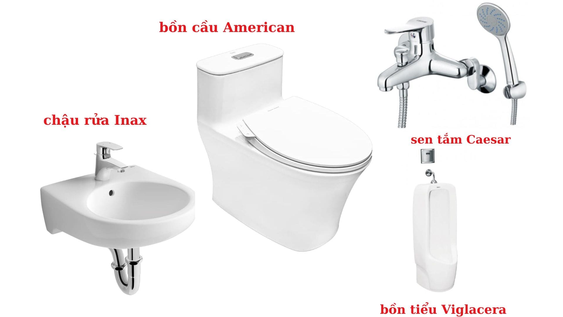 Thiết bị vệ sinh riêng lẻ 