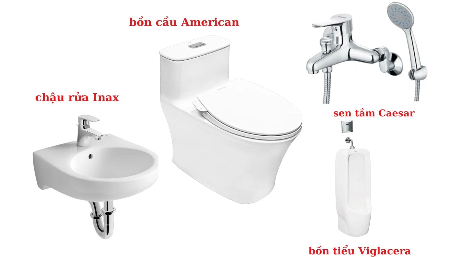 Thiết bị vệ sinh riêng lẻ 