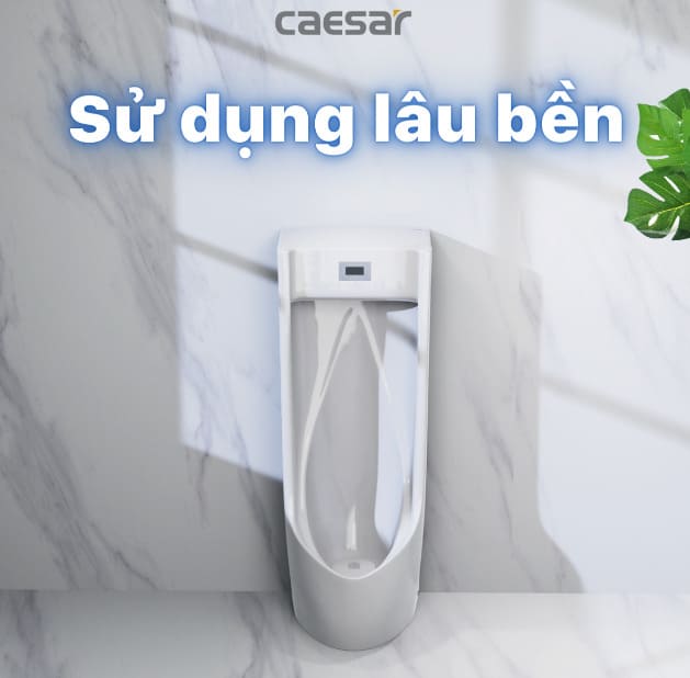 Bồn tiểu nam đặt sàn Caesar 