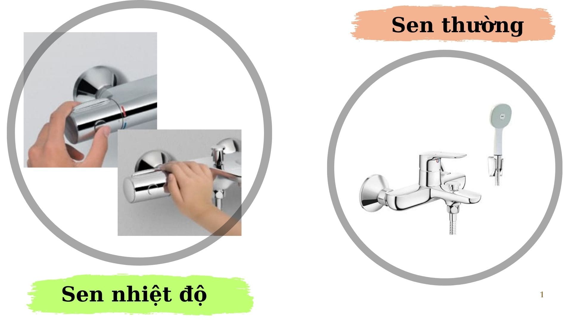 Tìm hiểu về sen nhiệt độ và sen thường 