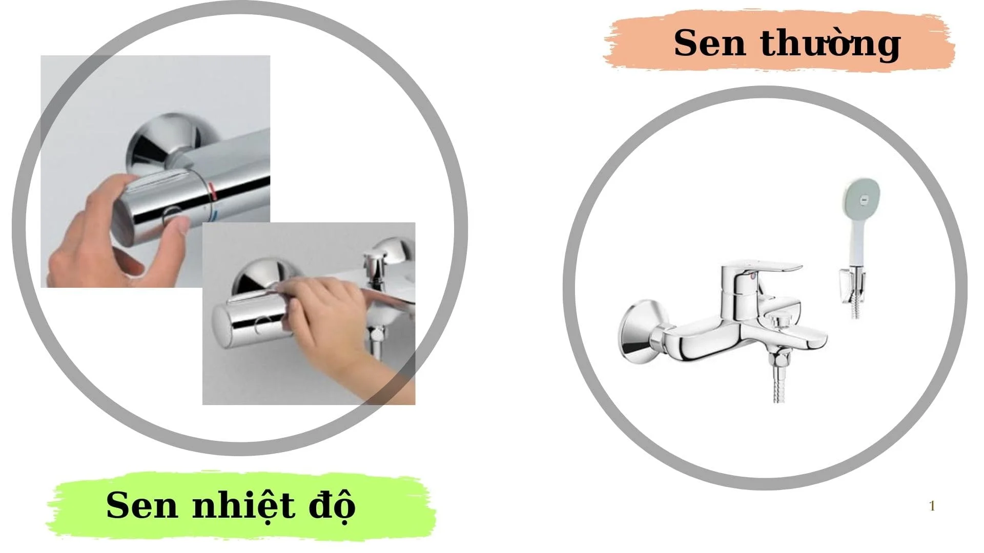 Tìm hiểu về sen nhiệt độ và sen thường 